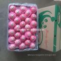 Sell Yantai Fresh Red Fuji Apple